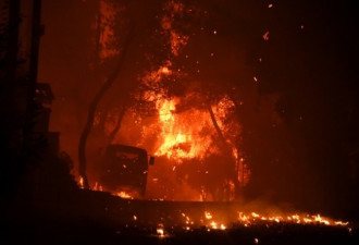 希腊破纪录极端高温 雅典陷入世界末日般火灾
