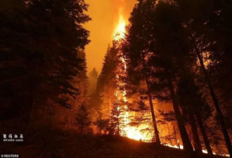 烧半个多月了 加州最大山火失控上万人撤离