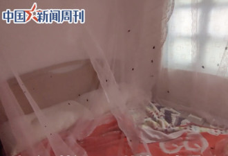 梅毒男7千元买妻连生9胎 幼子染病家中飞满苍蝇