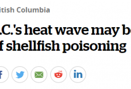 大温市民小心！专家预警：海鲜中可能存在细菌