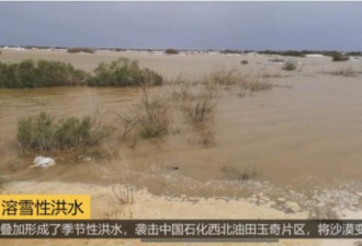 普降暴雨 新疆沙漠洪灾 中石化3万套设备被淹
