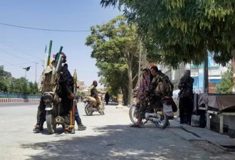 美媒:塔利班与阿官员交易付钱让阿军投降交武器