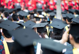 2万中国顶尖学子，却在硅谷正为美国公司卖力？