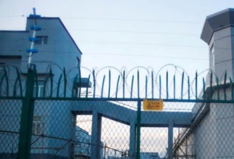 美政府采取跨部门行动应对中国新疆强制劳动
