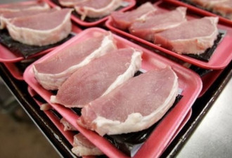 加州拟捍卫猪权 动物福利法案恐致肉价飙升50%