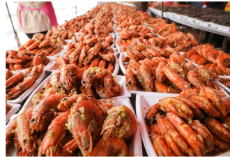 中国拒收1000个货柜的印度虾 原因竟然是...