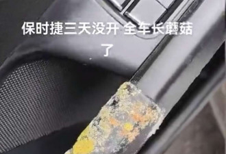 保时捷三天没开车里长蘑菇 女车主崩溃