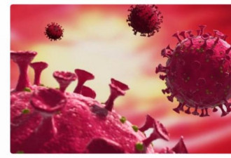 最长感染病例揭示新冠病毒如何从免疫系统逃逸