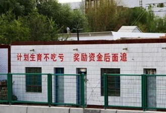 中国计划生育协会征集三孩标语，我先来写几条