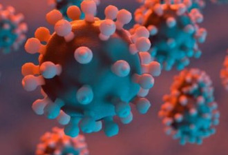 美科学家发现可对抗所有新冠变异病毒超级抗体
