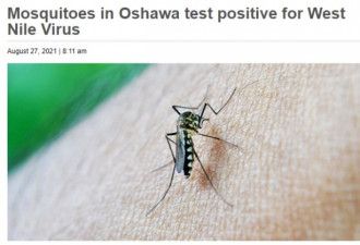 Oshawa发现西尼罗病毒蚊子