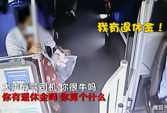 中国大妈拒绝出示健康码 并辱骂公交司机