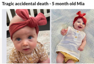 罕见悲剧！5个月大小女孩在公园因喜鹊袭击死亡