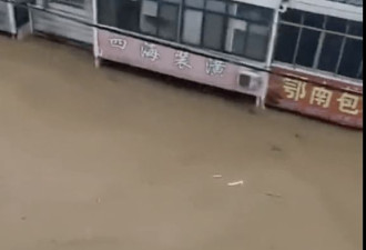 洪水夜袭湖北柳林镇 居民邻居爬上电线杆被冲走
