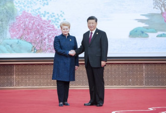 多维：惩戒立陶宛 中国无需联手俄罗斯