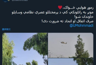 塔利班用美军黑鹰直升机&quot;吊死&quot;翻译?媒体披露