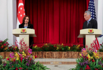 美国副总统在新加坡向亚洲保证美国的持久承诺