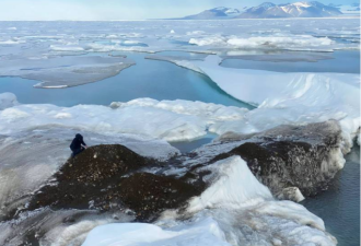 北极浮冰漂走 科学家发现…