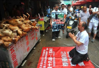 中国人每年吃1500万条狗 大部分都是偷来的？