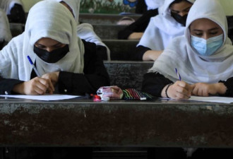 塔利班新教育措施要求男女分班或拉帘隔开上课