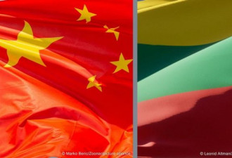 德媒：中国施压立陶宛 会否影响欧洲对台湾态度