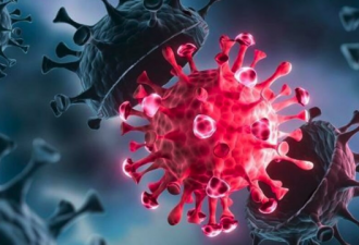 《拦截》:中国实验室冠状病毒研究的新细节出现