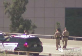 女子持枪在高速上企图自杀 警察赶到后将其击毙