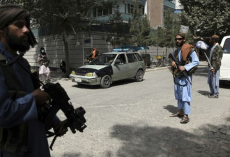 阿富汗中国商人：五名塔利班坐我办公室