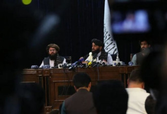 塔利班新政府组建事宜有望近期公布 普京再发声