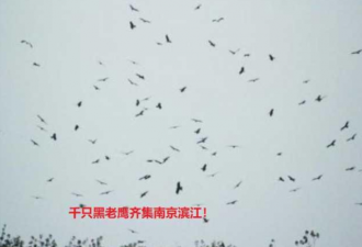 奇观！天空出现巨型光柱 如天梯一样连接地面