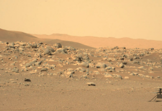 「采到了！」地球有了第一块火星岩石样本！