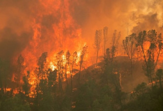 无法扑灭的大火：加州山火预示着怎样的未来