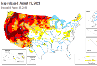 美国粮价还涨？热浪干旱持续 农作物大面积枯萎