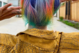 彩虹头发！加拿大人登顶发型师排行榜