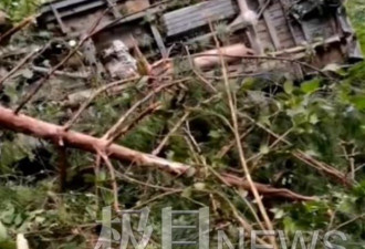 安徽皮卡坠崖12名农妇遇难:日赚百元因下雨返回
