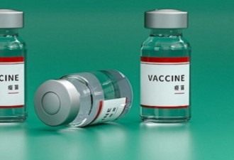 重庆推新疫苗 称重组蛋白能较有效防病毒变种