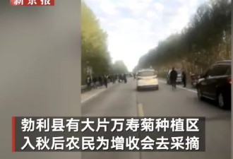 黑龙江车祸15人遇难，死者身份让人泪崩