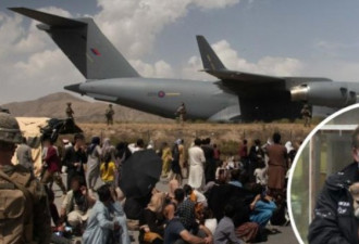 你敢相信吗?英国包机撤离阿富汗载狗不载人?