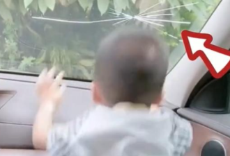 2岁娃拒上幼儿园 一头撞裂挡风玻璃 网友笑喷！