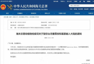 大陆暂停台番荔枝和莲雾输入 台农民：喝西北风