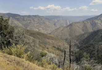 1家3口陈尸加州森林 调查2周仍被查出死因