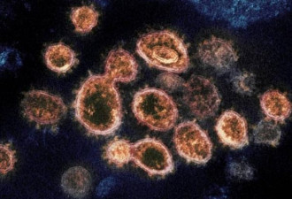 新变种病毒横扫37国 打完2剂疫苗也难挡