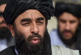 阿富汗塔利班发言人：阿富汗重建需要中国