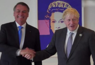 英首相约翰逊和巴西总体会面 场面实在太尴尬了