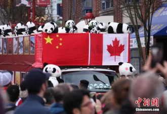 加拿大华人如何在东西方夹缝中找到自身位置
