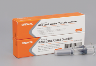 药效遭到质疑 中国8月疫苗出口锐减21%