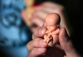 新冠对子宫内胎儿也致命 密州疫情期死胎率翻番