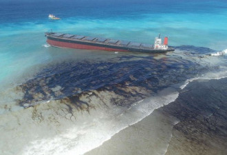 加州外海漏油引爆生态灾难 大量死尸冲上岸