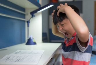 新加坡这道小学数学题难倒全网 小学生崩溃掀桌