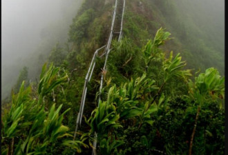 全球最恐怖阶梯之一 夏威夷“天堂阶梯”将拆除